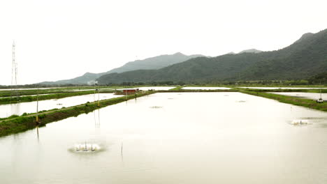 Toma-Panorámica-De-Drones-De-Piscinas-De-Cultivo-De-Camarón,-Ecuador