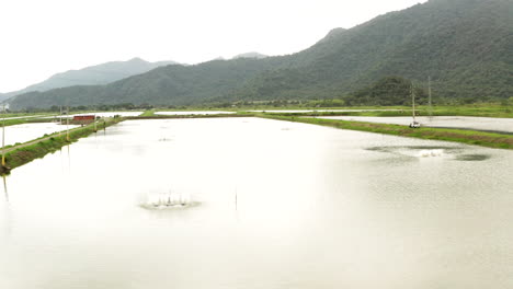 Panoramic-drone-shot-of-shrimp-farming-pools