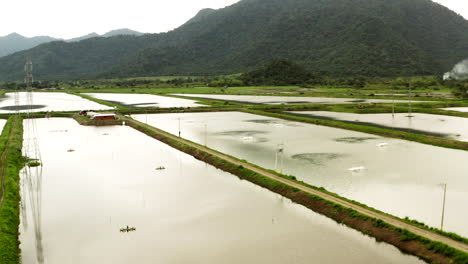 Toma-Panorámica-De-Drones-De-Piscinas-De-Cultivo-De-Camarón.