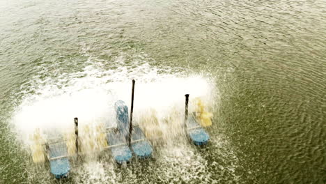 Panoramic-drone-shot-of-shrimp-farming-pools