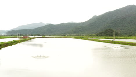 Panoramic-drone-shot-of-shrimp-farming-pools