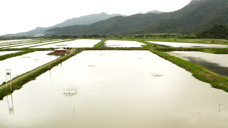 Toma-Panorámica-De-Drones-De-Piscinas-De-Cultivo-De-Camarón.