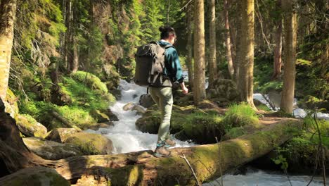 Hiking-woman-walk-with-a-hiking-backpack-in-spring-green-forest