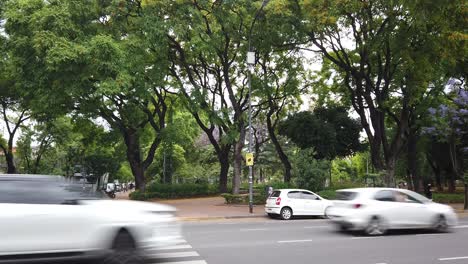 Paisaje-Urbano-Del-Parque-Irlanda-Con-Jacarandas-Verdes-Recorridos-En-Auto-Por-La-Ciudad-De-Buenos-Aires-A-Través-De-La-Avenida-Gaona,-Caballito