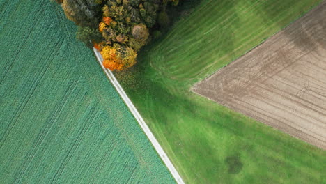 Tauchen-Sie-Ein-In-Die-Atemberaubende-Faszination-Des-Herbstes,-Während-Unsere-Drohne-Anmutig-Die-Lebendige-Farbpalette-Und-Die-Ruhigen-Szenen-Eines-In-Herbstpracht-Geschmückten-Waldes-Enthüllt