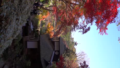 Incredible-view-of-Japanese-landscape-garden-in-fall-with-Pagoda---VERTICAL