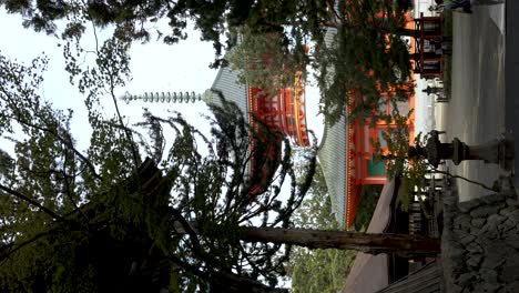 Blick-Auf-Die-Leuchtend-Rote-Konpon-Daito-Pagode-Durch-Bäume-In-Koyasan