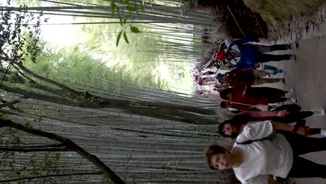 Multitudes-Ocupadas-Caminando-Por-Un-Sendero-Bordeado-De-árboles-De-Bambú-En-Arashiyama.