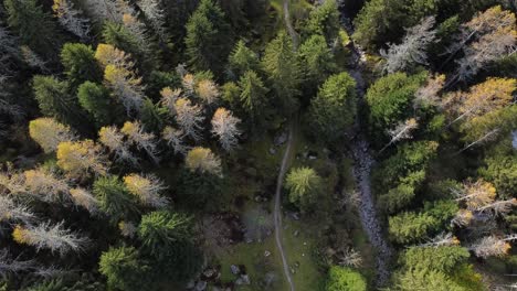 Drones-En-El-Bosque-Y-Piedras-En-Val-Di-Mello,-Ojo-De-águila-En-El-Bosque,-Italia