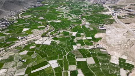 Landwirtschaftliche-Flächen-In-Den-Ländlichen-Regionen-Von-Paktia