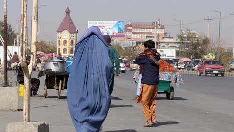 A-Veiled-Woman's-Path