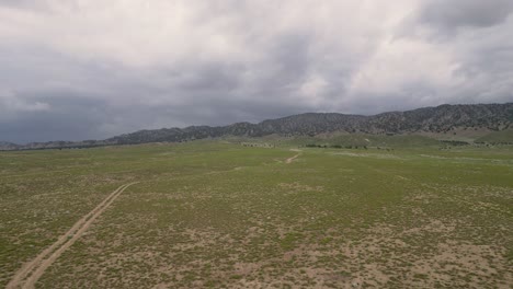 Green-Desert-Landscape