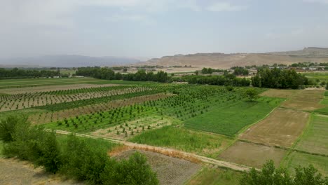 Perspectiva-Aérea-De-Campos-Agrícolas