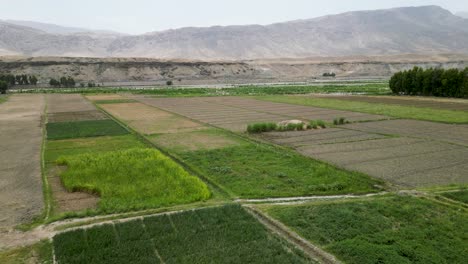 Vista-Aérea-De-Los-Campos-Agrícolas