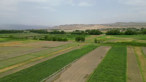 Vista-Aérea-De-Las-Tierras-De-Cultivo