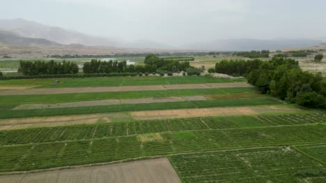 Tierras-Agrícolas-En-Las-Regiones-Rurales-De-Nangarhar.