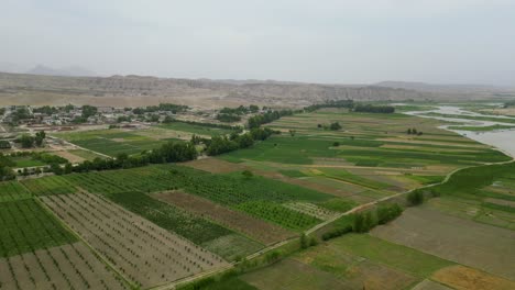 The-Lush-Greens-of-Khewa-District