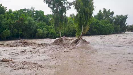 Frühlingsfluten-Versinken-Bäume-Im-Trüben-Wasser