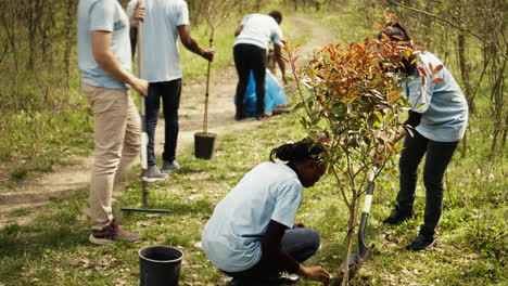 Team-of-volunteers-planting-trees-in-the-forest-by-digging-holes-in-the-ground