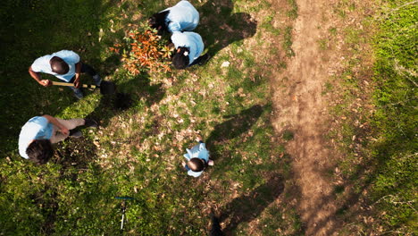 Aerial-view-of-volunteers-participate-in-nurturing-the-ecosystem