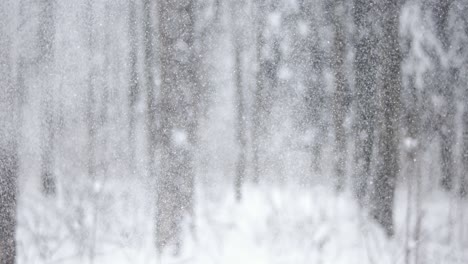 Winterlandschaft-Bei-Schneefall.-Abstrakter-Hintergrund-Für-Winterweihnachten-In-Superzeitlupe.