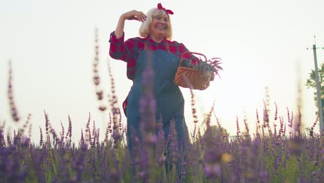 Abuela-Mayor-Granjera-Recogiendo-Flores-De-Lavanda-En-El-Campo,-Bailando,-Celebrando-El-éxito