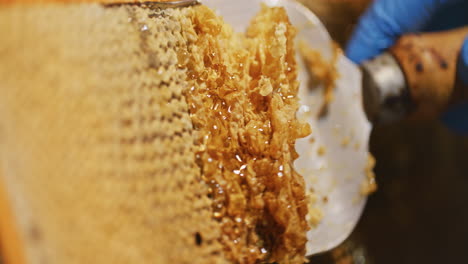 A-Beekeeper-Removes-Wax-from-Honeycomb