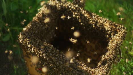 Tausende-Von-Nützlichen-Bienen-In-Einem-Offenen-Bienenstock
