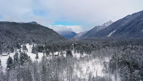 Schöner-Schneeszenenwald-Im-Winter.-Überfliegen-Von-Schneebedeckten-Kiefern.