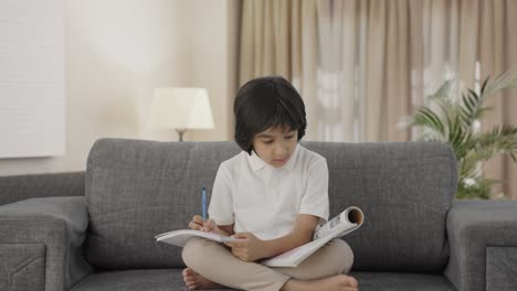 Serious-Indian-boy-reading-and-studying