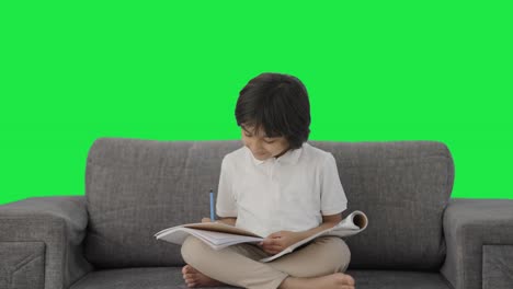 Happy-Indian-boy-reading-and-studying-Green-screen