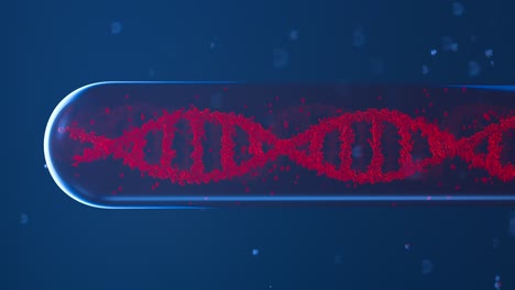 Animation-of-DNA-double-helix-rotating-and-floating-in-a-glass-test-sample-tube-full-of-blood.-Concept-of-manipulation-of-the-genetic-code,-genetic-engineering,-biotechnology,-genome-editing,-CRISPR