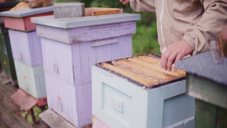 The-Beekeeper-Works-in-the-Apiary-and-Puts-Frames-Into-the-Hive