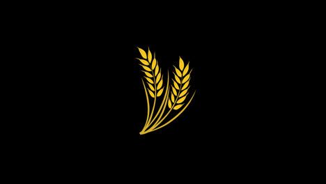 golden-wheat-ears-Harvest-Decorative-Element-concept-icon-animation-with-alpha-channel