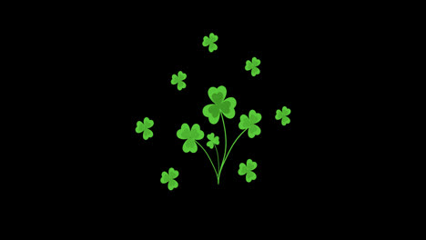 Shamrock-leaf-plant-concept-icon-animation-with-alpha-channel