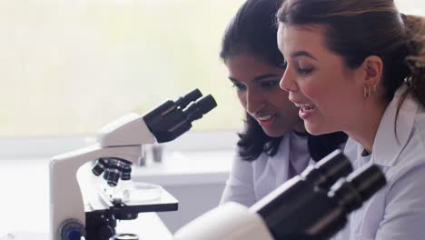 Scientists-with-Microscopes-Working-in-Laboratory.science-research,-work-and-people-concept-international-female-scientists-with-microscopes-working-in-laboratory