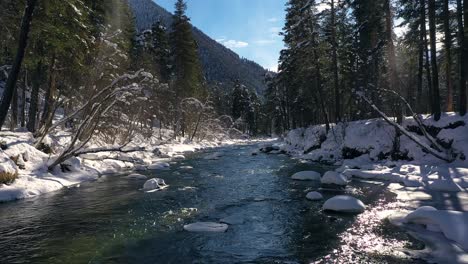 Schöner-Schneeszenenwald-Im-Winter.-Überfliegen-Von-Fluss--Und-Kiefernbäumen,-Die-Mit-Schnee-Bedeckt-Sind.