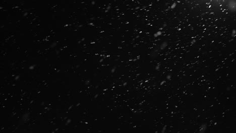 winter,-weather-and-season-concept--snow-falling-over-black-background-or-night-sky