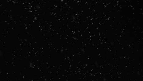 winter,-weather-and-season-concept--snow-falling-over-black-background-or-night-sky