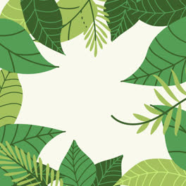 Motion-Graphic-of-Tropical-leaves-background