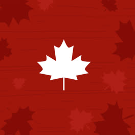 Motion-Graphic-of-Canada-day-lettering-concept