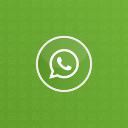 Gráfico-En-Movimiento-Del-Diseño-Del-Icono-De-Whatsapp