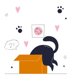 Motion-Graphic-of-Flat-international-cat-day-instagram-stories-collection