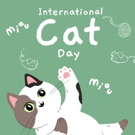 Motion-Graphic-of-Flat-international-cat-day-instagram-stories-collection