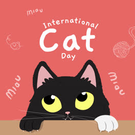 Motion-Graphic-of-Flat-international-cat-day-instagram-stories-collection