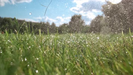 El-Club-De-Golf-Golpea-Una-Pelota-De-Golf-En-Cámara-Súper-Lenta.-Gotas-De-Rocío-De-La-Mañana-Y-Partículas-De-Hierba-Se-Elevan-En-El-Aire-Después-Del-Impacto.