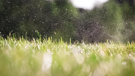 Der-Golfschläger-Schlägt-In-Superzeitlupe-Auf-Einen-Golfball.-Nach-Dem-Aufprall-Steigen-Morgentautropfen-Und-Graspartikel-In-Die-Luft.