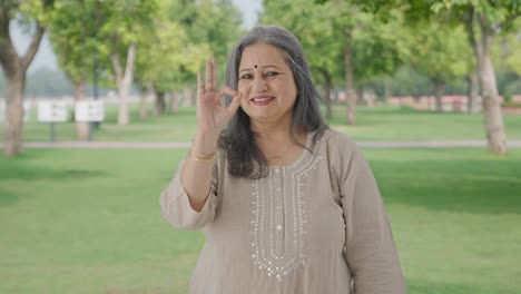 Happy-Indian-old-woman-showing-okay-sign-in-park