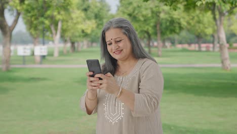 Glückliche-Alte-Indische-Frau-Im-Chat-Am-Telefon-Im-Park