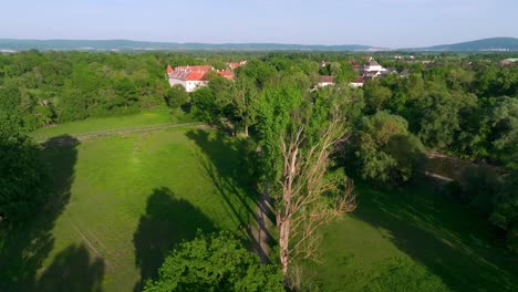 Immergrüne-Naturlandschaft-In-Der-Nähe-Von-Schloss-Marchegg-In-Österreich